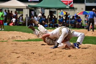 综合格斗赛场焦点！荷兰队对阵法国队，核心球员受伤，球队前景蒙阴影